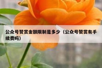 公众号赞赏金额限制是多少（公众号赞赏有手续费吗）