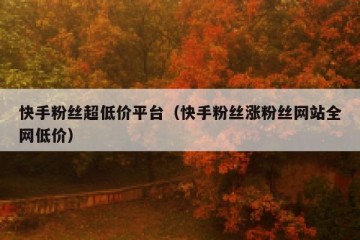 快手粉丝超低价平台（快手粉丝涨粉丝网站全网低价）