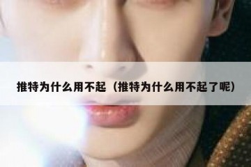 推特为什么用不起（推特为什么用不起了呢）