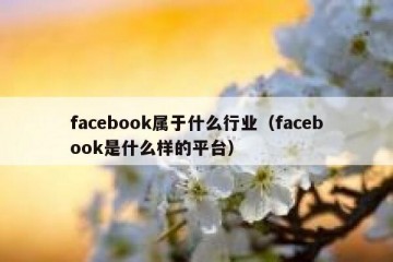 facebook属于什么行业（facebook是什么样的平台）