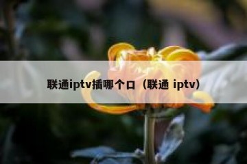 联通iptv插哪个口（联通 iptv）