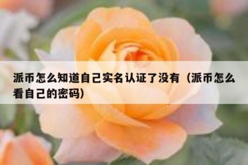 派币怎么知道自己实名认证了没有（派币怎么看自己的密码）