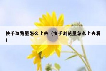 快手浏览量怎么上去（快手浏览量怎么上去看）