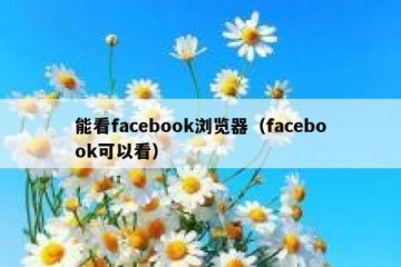能看facebook浏览器（facebook可以看）
