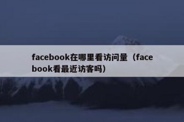 facebook在哪里看访问量（facebook看最近访客吗）