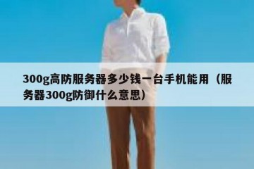 300g高防服务器多少钱一台手机能用（服务器300g防御什么意思）