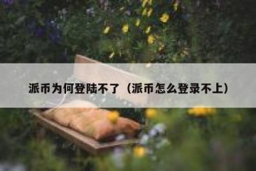 派币为何登陆不了（派币怎么登录不上）