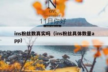 ins粉丝数真实吗（ins粉丝具体数量app）