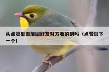 从点赞里面加回好友对方收的到吗（点赞加下一个）