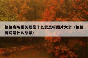 低价高防服务器是什么意思呀图片大全（低价高购是什么意思）