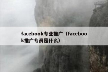 facebook专业推广（facebook推广专员是什么）