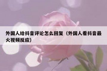 外国人给抖音评论怎么回复（外国人看抖音最火视频反应）