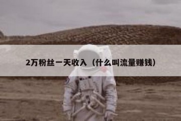 2万粉丝一天收入（什么叫流量赚钱）
