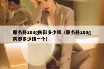 服务器200g防御多少钱（服务器200g防御多少钱一个）