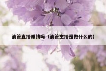油管直播赚钱吗（油管主播是做什么的）