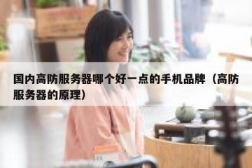 国内高防服务器哪个好一点的手机品牌（高防服务器的原理）