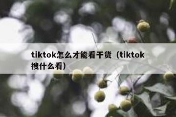 tiktok怎么才能看干货（tiktok搜什么看）