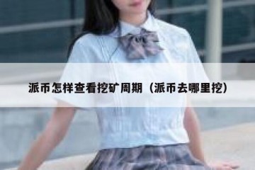 派币怎样查看挖矿周期（派币去哪里挖）