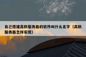 自己搭建高防服务器的软件叫什么名字（高防服务器怎样实现）