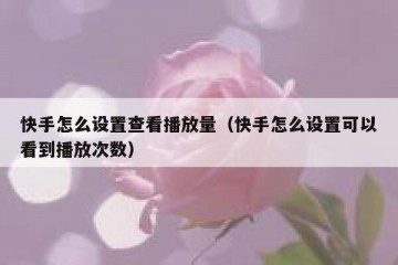 快手怎么设置查看播放量（快手怎么设置可以看到播放次数）