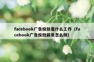 facebook广告投放是什么工作（facebook广告投放前景怎么样）
