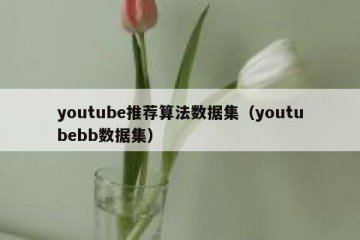 youtube推荐算法数据集（youtubebb数据集）