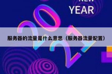 服务器的流量是什么意思（服务器流量配置）