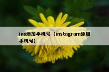 ins添加手机号（instagram添加手机号）