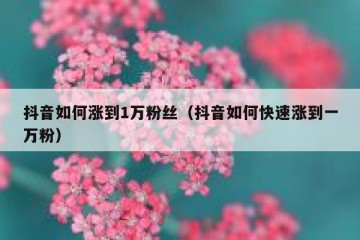 抖音如何涨到1万粉丝（抖音如何快速涨到一万粉）
