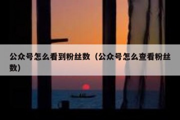公众号怎么看到粉丝数（公众号怎么查看粉丝数）