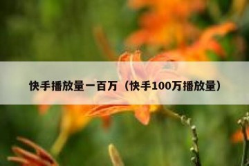 快手播放量一百万（快手100万播放量）