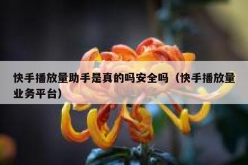 快手播放量助手是真的吗安全吗（快手播放量业务平台）