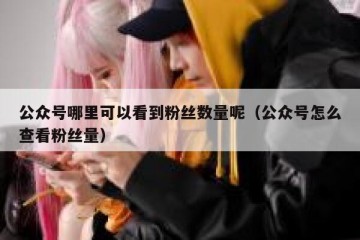 公众号哪里可以看到粉丝数量呢（公众号怎么查看粉丝量）