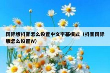 国际版抖音怎么设置中文字幕模式（抖音国际版怎么设置W）