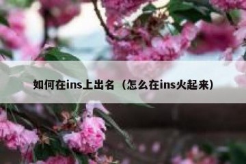 如何在ins上出名（怎么在ins火起来）