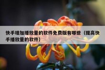快手增加播放量的软件免费版有哪些（提高快手播放量的软件）