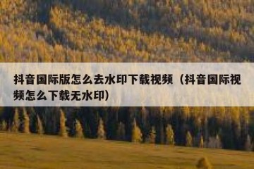 抖音国际版怎么去水印下载视频（抖音国际视频怎么下载无水印）