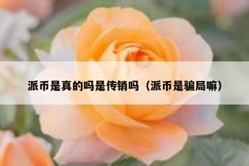 派币是真的吗是传销吗（派币是骗局嘛）