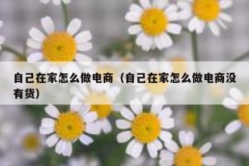 自己在家怎么做电商（自己在家怎么做电商没有货）
