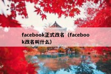 facebook正式改名（facebook改名叫什么）