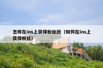 怎样在ins上获得粉丝团（如何在ins上获得粉丝）