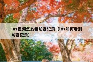 ins视频怎么看访客记录（ins如何看到访客记录）