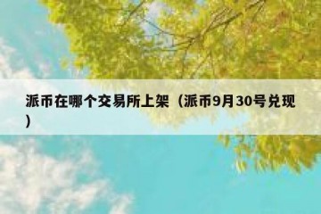 派币在哪个交易所上架（派币9月30号兑现）