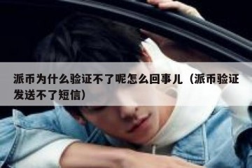 派币为什么验证不了呢怎么回事儿（派币验证发送不了短信）