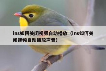 ins如何关闭视频自动播放（ins如何关闭视频自动播放声音）