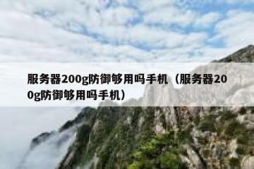 服务器200g防御够用吗手机（服务器200g防御够用吗手机）