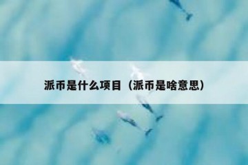 派币是什么项目（派币是啥意思）