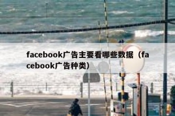 facebook广告主要看哪些数据（facebook广告种类）