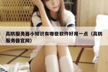 高防服务器小知识有哪些软件好用一点（高防服务器官网）