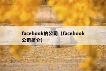 facebook的公司（facebook公司简介）